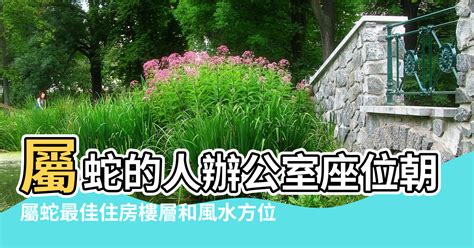 屬蛇樓層|属蛇最佳住房楼层和风水方位